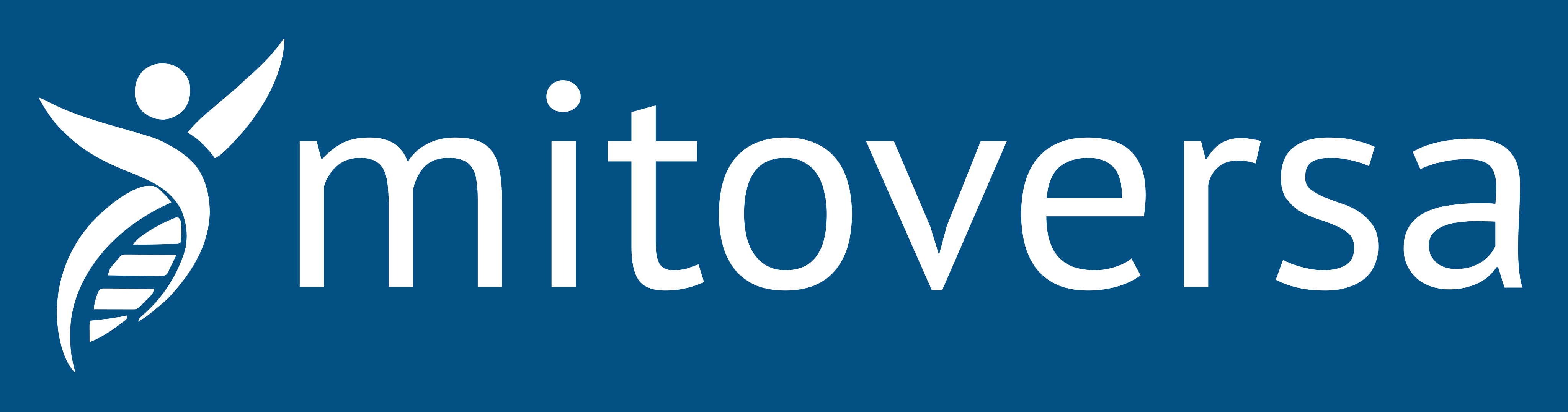 Mitoversa